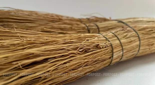 Новости Севастополя - Севастополь просит защитить «ничье» имущество от мошенников 