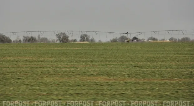 Новости Севастополя - Чего ждут депутаты от севастопольского ДИЗО 