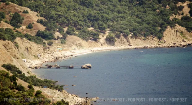 Новости Севастополя - В Севастополе младенцев опять используют в магазинных кражах