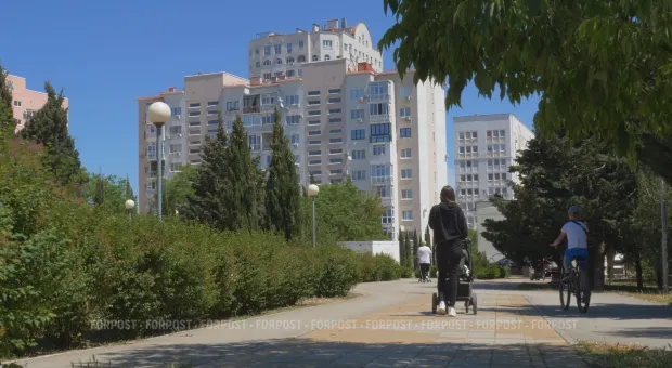 Новости Севастополя - Почему в Севастополе необходим приют для бездомных