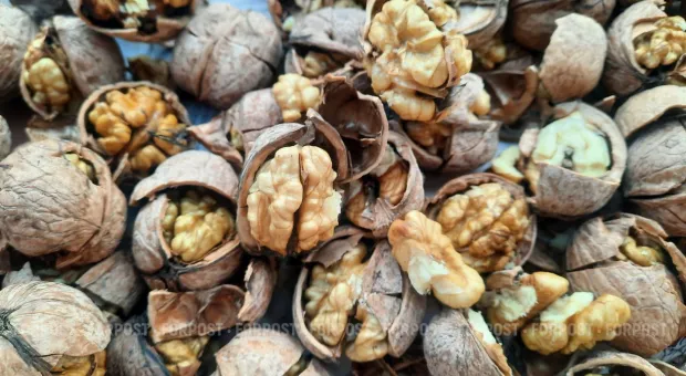 Новости Севастополя - 