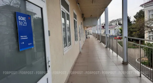 Новости Севастополя - В Севастополе сравнили политику США с фильмом «Не смотри наверх» 