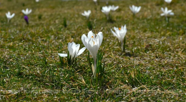 Новости Севастополя - В Севастополе завершается многострадальный ремонт музея им. Крошицкого