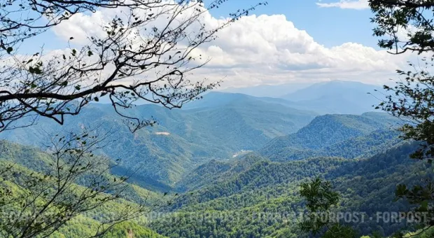 Новости Крыма - Сохранять и восстанавливать леса в Крыму будут с помощью федеральных миллионов