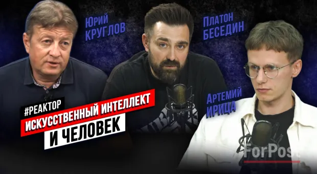 Новости Севастополя - У борьбы с бездомными собаками в Крыму обнаружили неожиданный минус