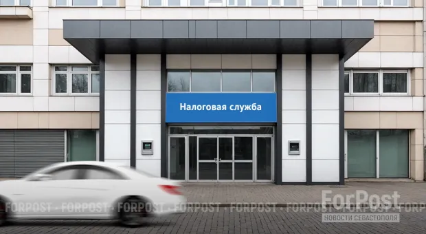 Новости Севастополя - В Севастополе оценили соцсеть для деловых людей