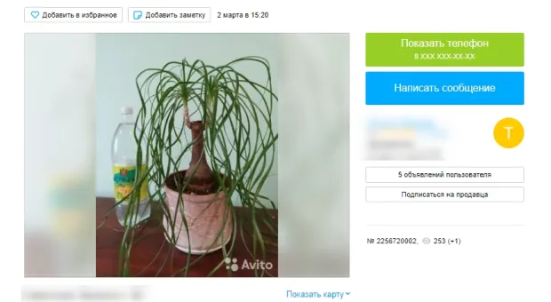 Новости Севастополя - Джо Байден попытался пожать руку человеку-невидимке