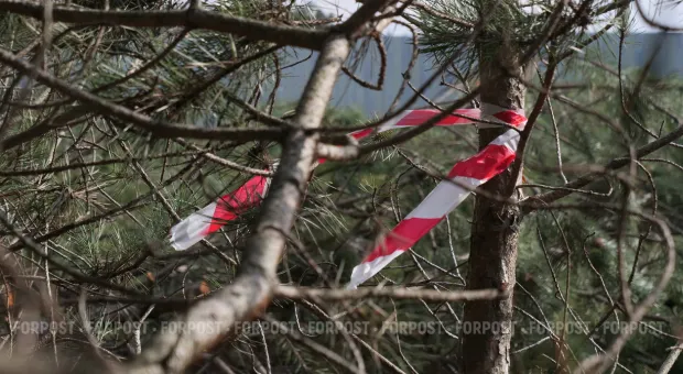 Новости Севастополя - В Севастополе подорожала карта ЕГКС