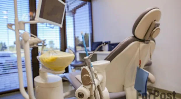 Новости Севастополя - Почему на Большой Морской в Севастополе деревья остались зелёными?