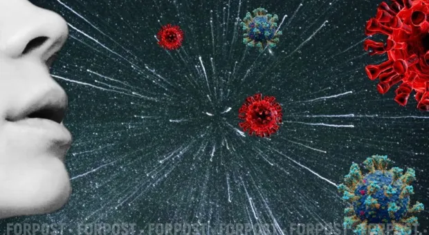 Новости Севастополя - Интернет-запрещёнка: чем заменить? — опрос на улицах Севастополя 