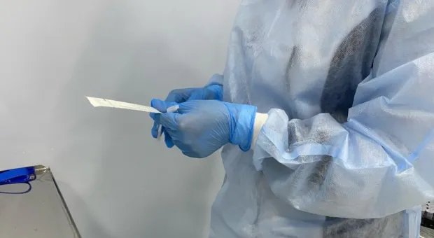 Новости Севастополя - 