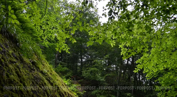 Новости Севастополя - В Севастополе моряк спас людей из огня