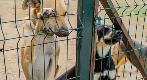 Новости Севастополя - Большая севастопольская тропа удлинится и станет велосипедной 