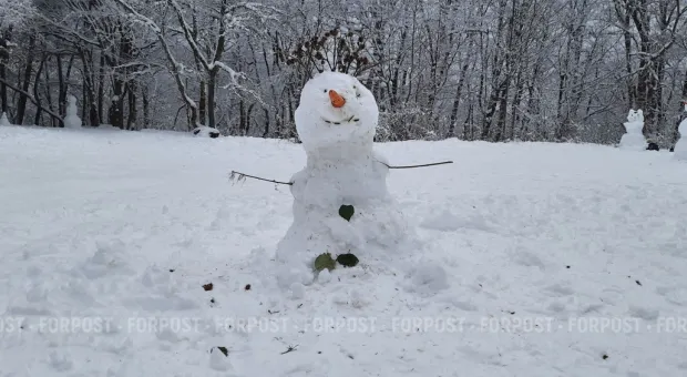 Новости Севастополя - СевСети #626. Стабильная непроходимость и посленовогодний осадок