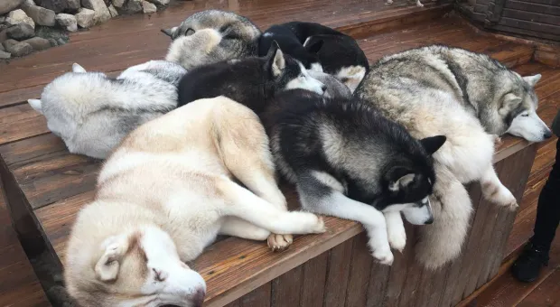 Новости Севастополя - Севастопольскую бухту разминируют перед реконструкцией набережной