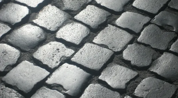 Новости Севастополя - Бездомные собаки нападают на машины в центре Севастополя