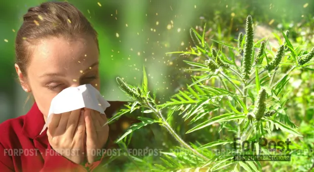 Новости Севастополя - В план транспортных ограничений 19 мая внесли изменения