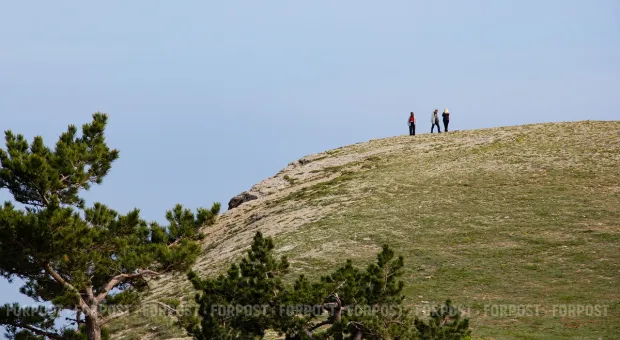 Новости Севастополя - Севастопольские медучреждения могут реорганизовать еще раз