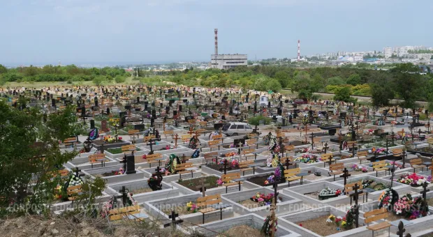 Новости Севастополя - В Севастополе вредителей прощают после «работы над ошибками»?