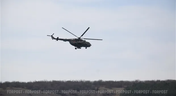 Новости Севастополя - Севприроднадзор заявил о своей позиции в суде по прокладке ЛЭП