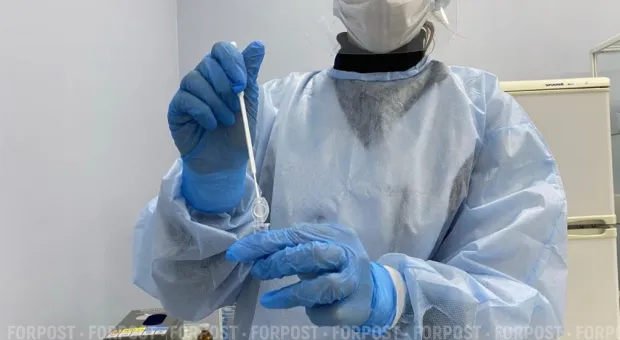 Новости Севастополя - С чувством подлинного патриотизма наши ветераны бились с врагом под Севастополем, – Владимир Путин