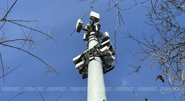 Новости Севастополя - «Пионеры» вернутся в центр Севастополя 