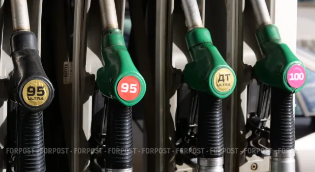 Новости Севастополя - «Проверка на завершающей стадии», - начальник ГКУ Севастополя о намеренном банкротстве Севморпорта 