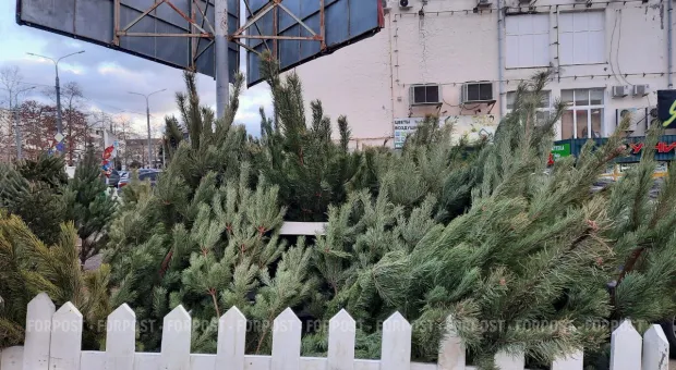 Новости Севастополя - Старый Новый год по-севастопольски: торжество оливье над снегом