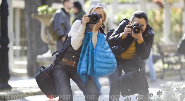 Новости Севастополя - В Севастополе состоится выставка кошек