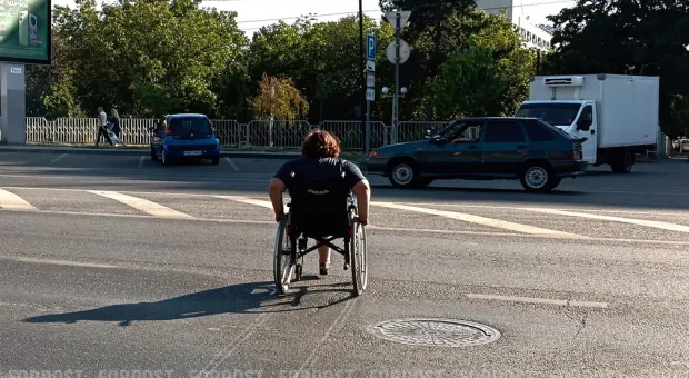 Новости Севастополя - Зачем на Северной взрослые софоры заменили молодыми ёлками