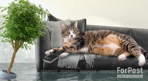 Новости Севастополя - СевСети #633. Маргинальный гламур и как говорить по-севастопольски