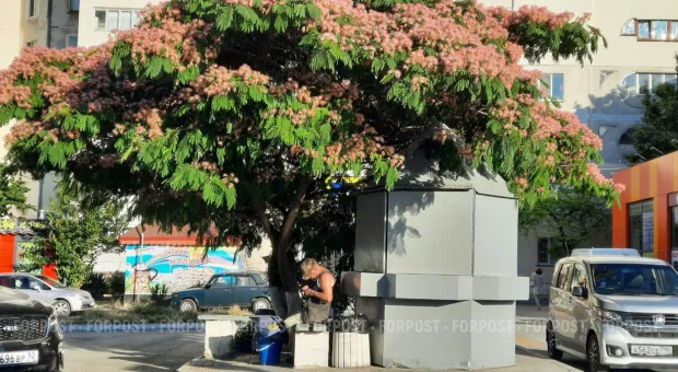 Новости Севастополя - Севастополь готовится к демонтажу незаконных торговых объектов