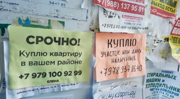 Новости Севастополя - Кто будет восстанавливать библиотеку и общежития СевГУ