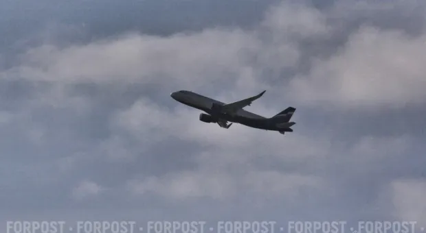 Новости Севастополя - Полиция не нашла на Матросском бульваре состава преступления 