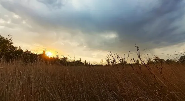 Новости Севастополя - 