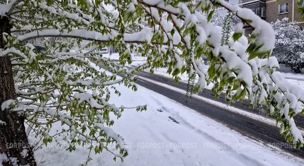 Новости Севастополя - В команде Овсянникова нет благополучия, — Борис Межуев 