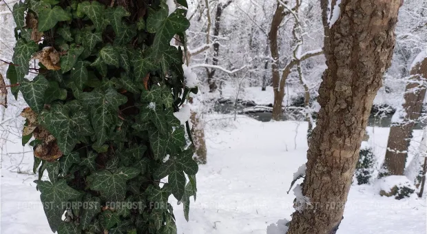 Новости Севастополя - Бабушка прорвалась через охрану, бросилась бежать к храму, – прихожанка об инциденте в Херсонесе