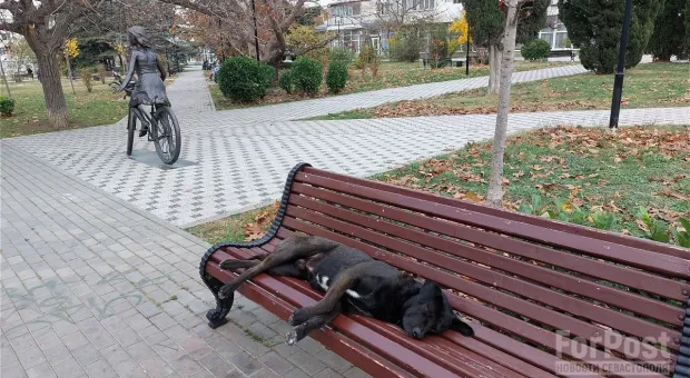 Новости Севастополя - В Севастополе рассматривают еще один вариант очистных для Балаклавы 