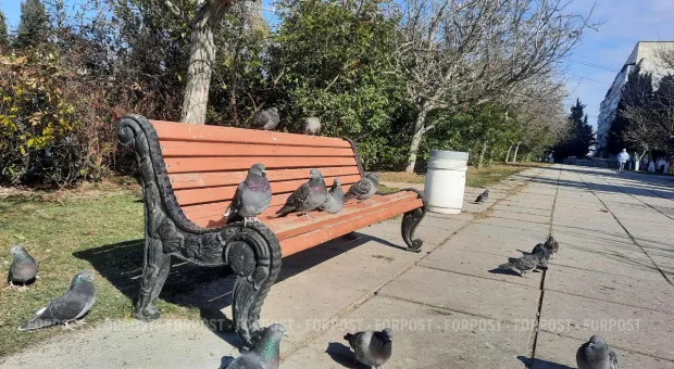 Новости Севастополя - В Севастополь возвращается весеннее тепло