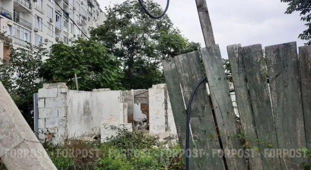 Новости Севастополя - С Приморского бульвара в Севастополе могут снести «Дерево любви»