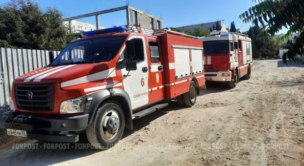 Новости Севастополя - «Московская елка» прошла в Севастополе