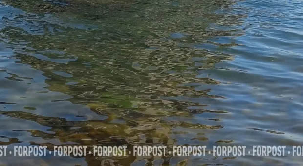 Новости Севастополя - У прокуратуры появилось новое здание в центре, у Севастополя - новый музей