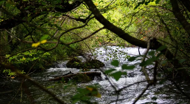 Новости Севастополя - Ротенберг вложит миллиарды в свои владения в Крыму