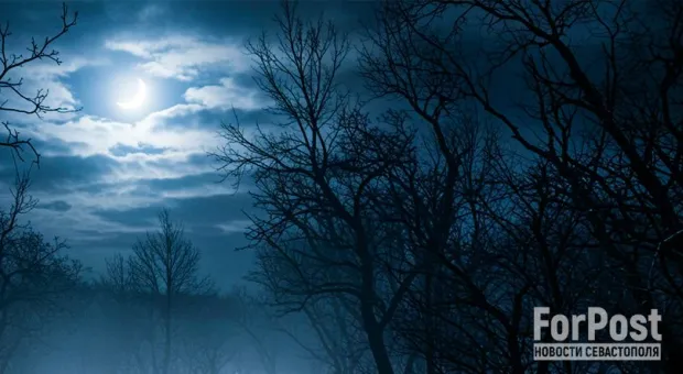 Новости Севастополя - Настоящий Севастополь. Николай Халимон: Раз надо – значит, я иду 