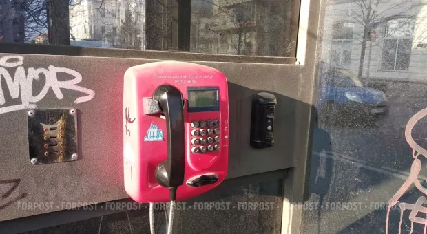 Новости Севастополя - В сети распространяется информация о минировании всех школ Севастополя