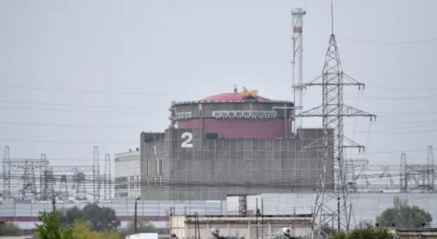 Новости России - Как государство намерено бороться со школьным буллингом, который калечит судьбы