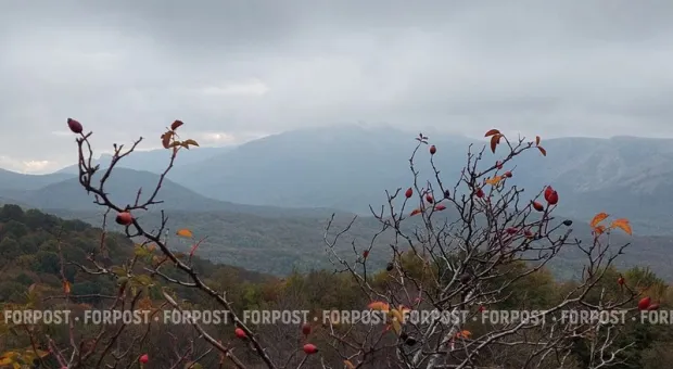 Новости Крыма - Чем интересен популярный маршрут по Челбашской тропе в Крымских горах