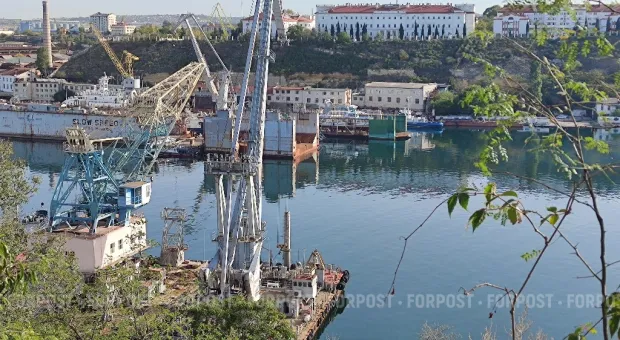 Новости Севастополя - Грузовой чемодан без ручки: Севморпорт завис между возрождением и банкротством