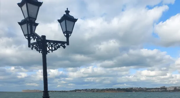 Новости Севастополя - Составлен список идеальных растений для озеленения Севастополя