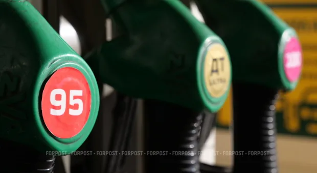 Новости Севастополя - Севастополец стал жертвой «чудища с зелеными глазами»